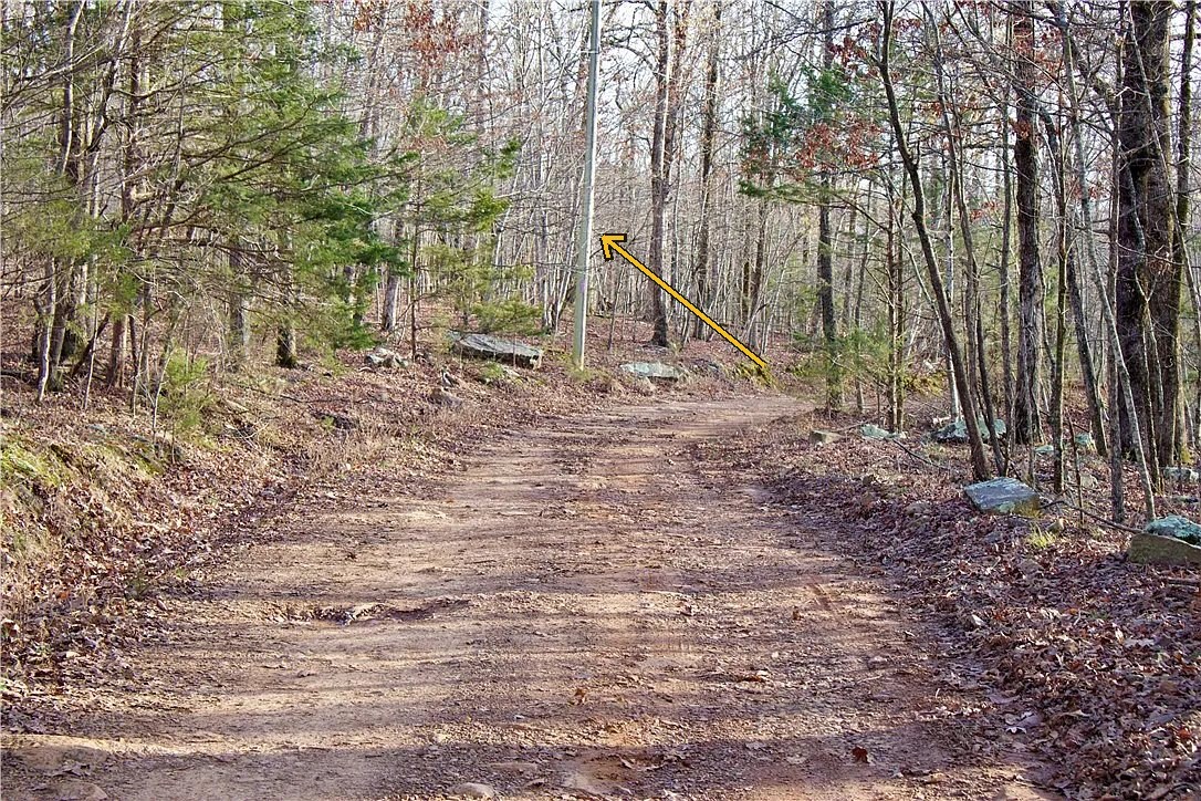 The dirt road through the timber with a yellow arrow marking a utility pole standing in the bank at the road edge.