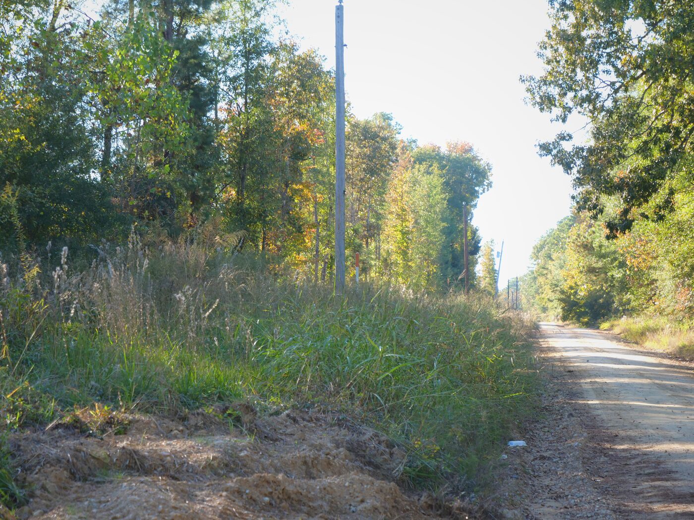 Ground-level view of the road frontage with a utility pole and overhead electric line.