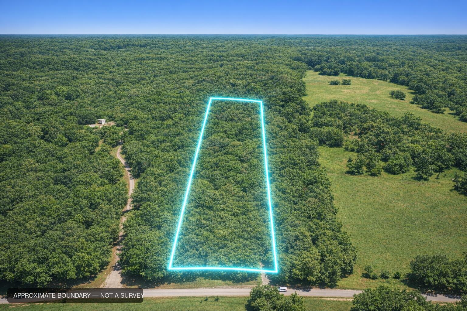 Drone photograph looking north over the tract, its boundary outlined, running back from County Road 2180 into mature timber with open pasture to the east.