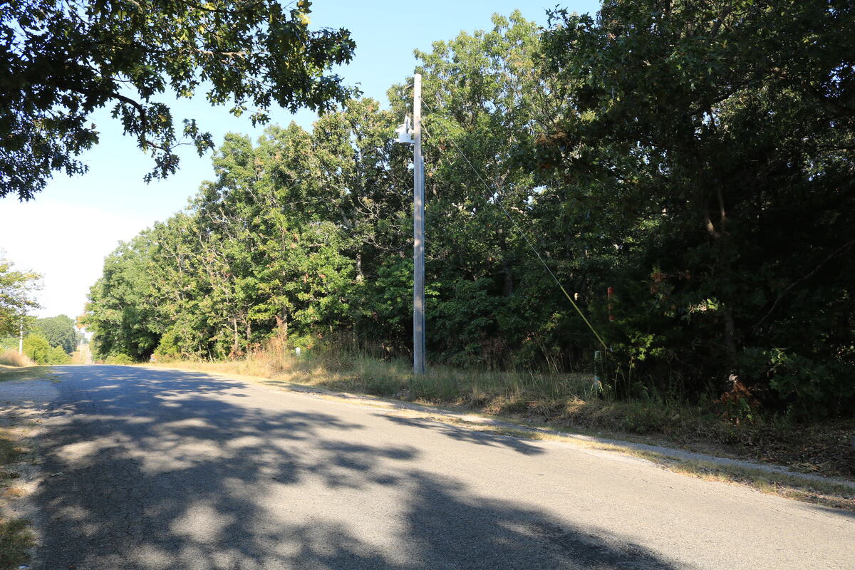 Paved county road running past the wooded frontage, power pole at the roadside.