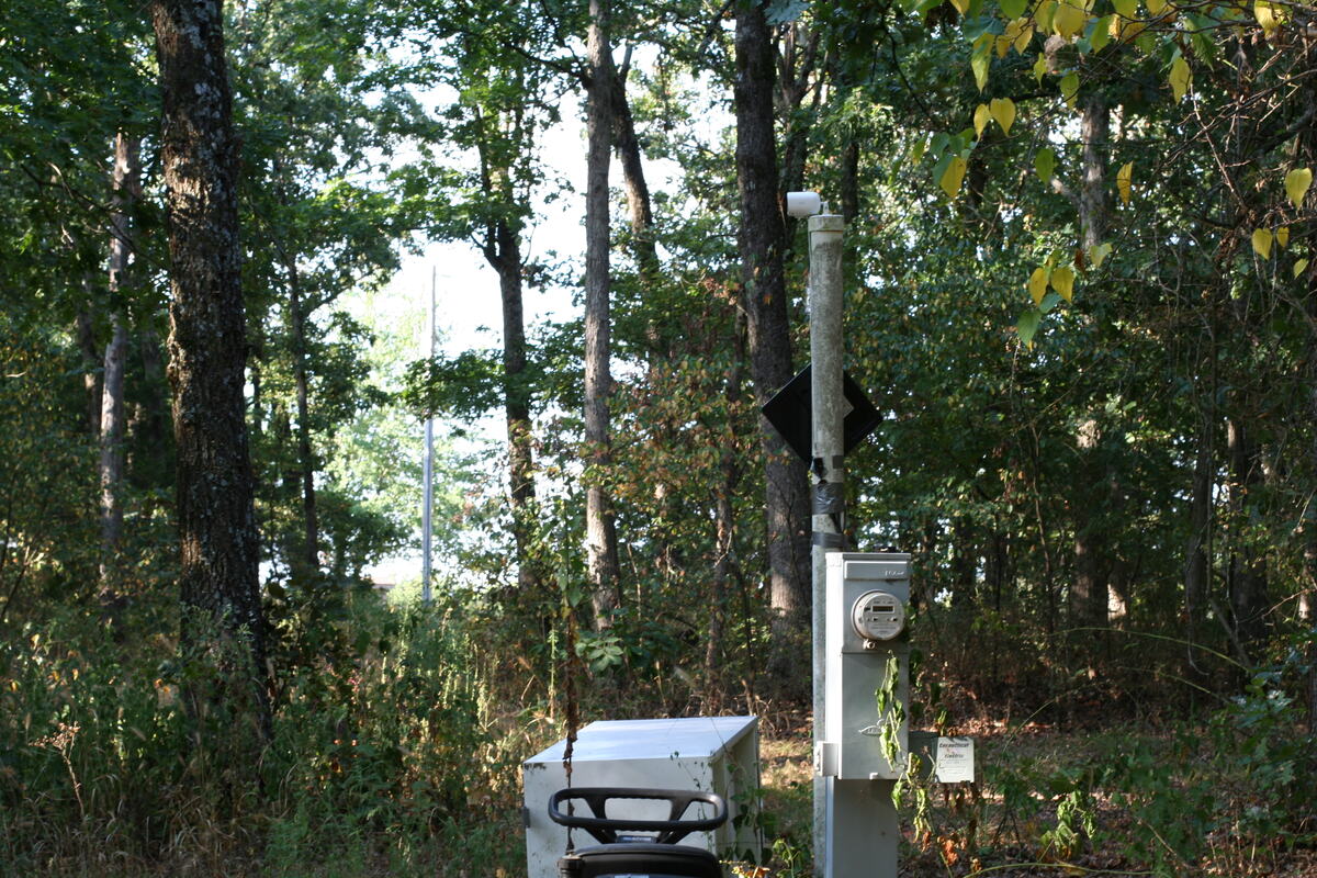 Electric meter and hookup pedestal standing at the campsite.