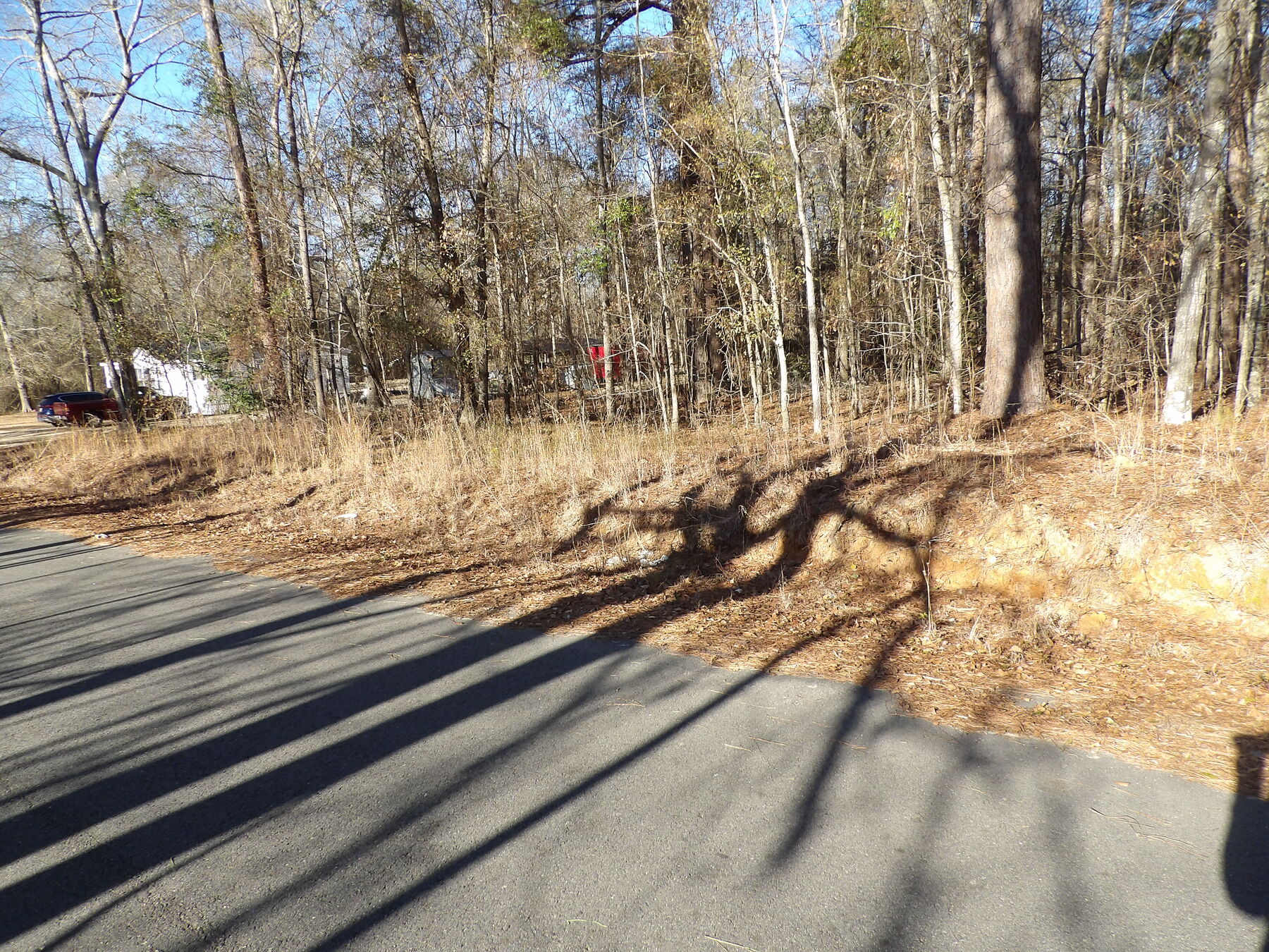 Paved road along the lot with a raised dirt bank at the edge of the woods and no driveway cut.