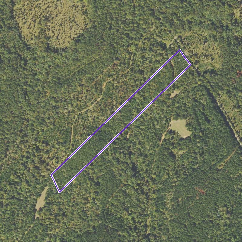 Overhead aerial of the long narrow wooded strip outlined in white, running diagonally through forest.