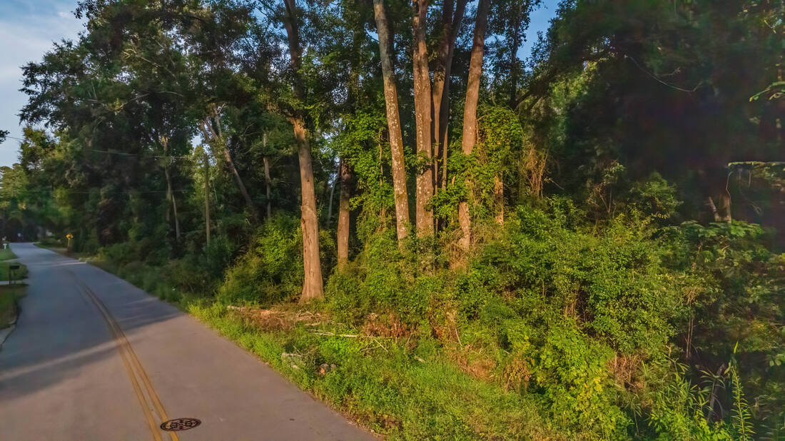 Street-level view of the paved road along the property frontage with a sanitary sewer manhole visible in the roadway.